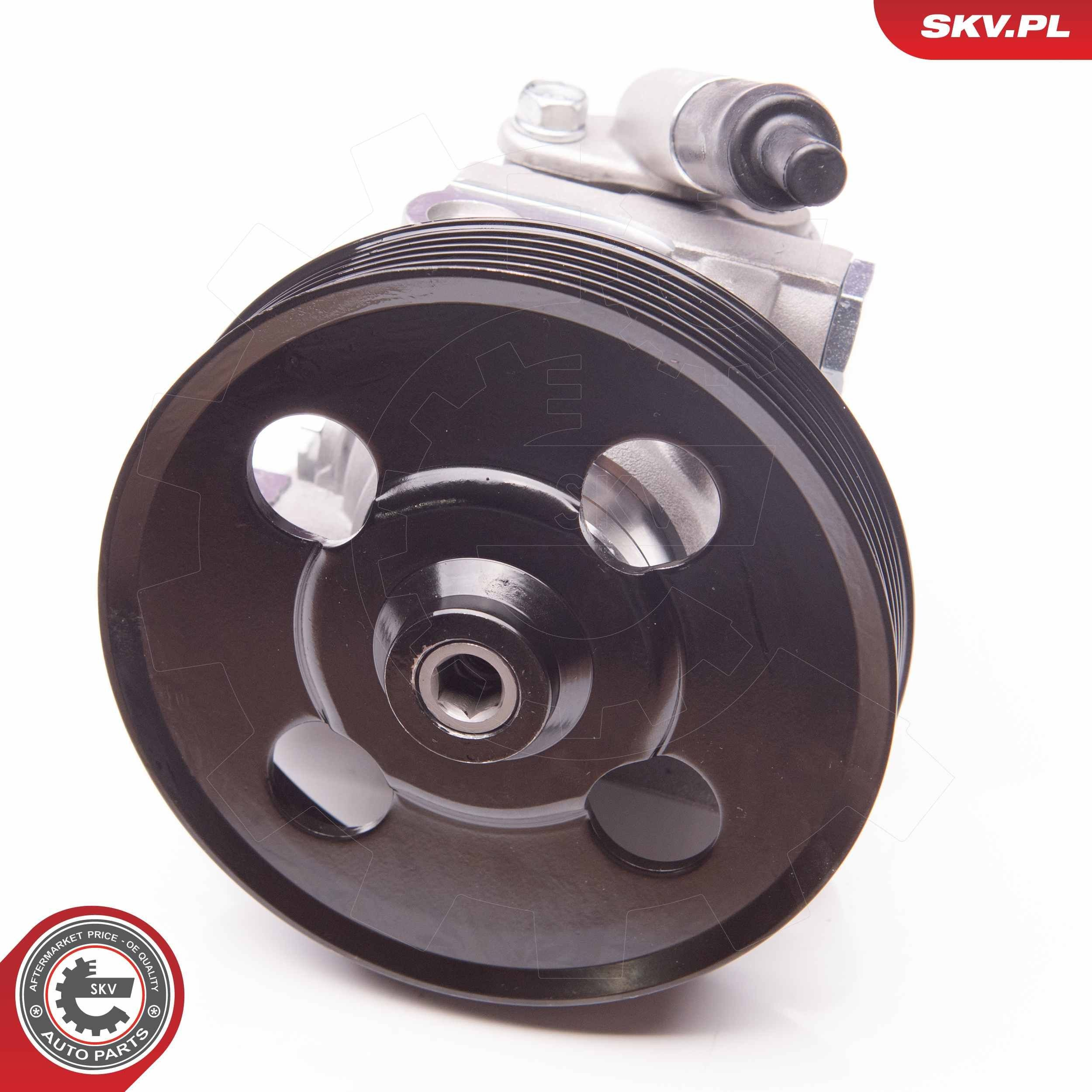 10SKV238 SKV